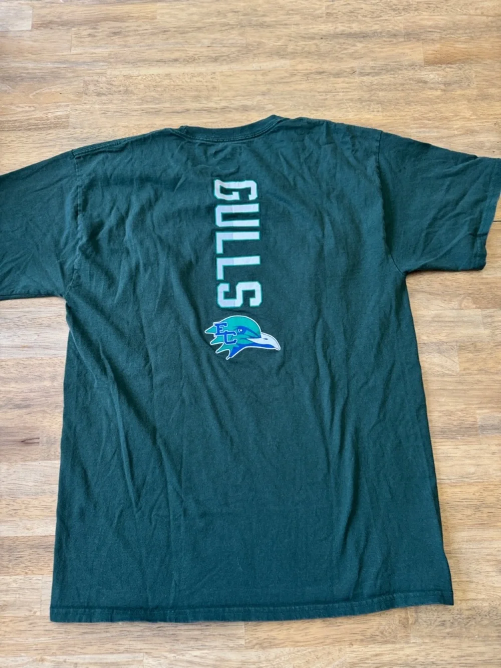Champion Endicott College Gulls Tee - Dark Green with Blue & White Graphic - Picture 3 of 3